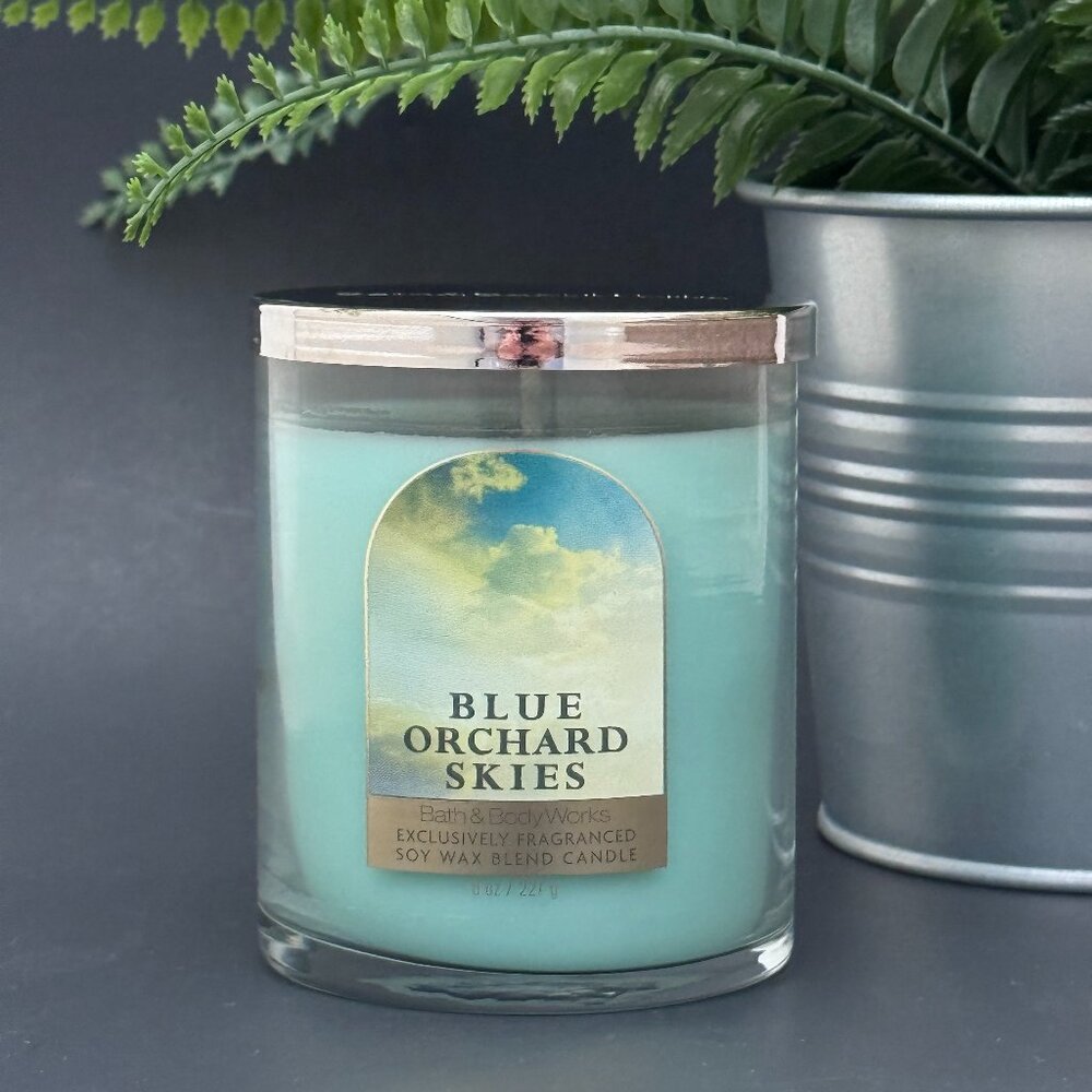 BBW Blue Orchard Skies Bath & Body Works Single Wick Candle